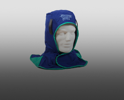 Picture for category Head Protection